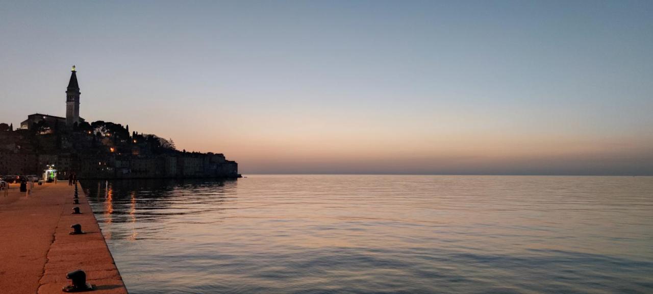 Davor Holiday Apartments Rovinj Bagian luar foto